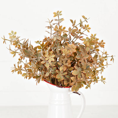 Sweetgum Bush | Fall Mix