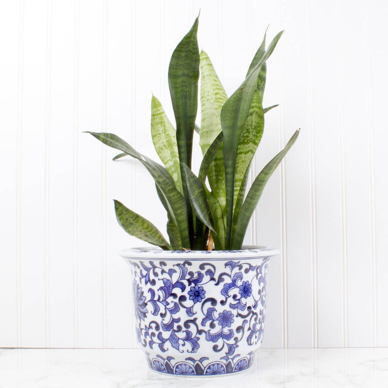 Blue Chinoiserie Planter - Small