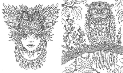 Spirit Animals Coloring Book