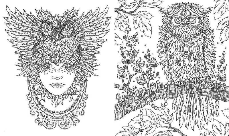 Spirit Animals Coloring Book