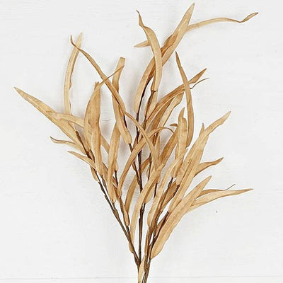 Willow Leaves | Beige | 27"