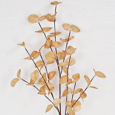 Silver Dollar Leaves | 23"