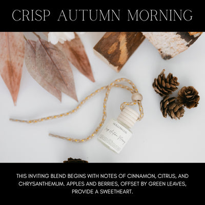 FALL CAR DIFFUSERS