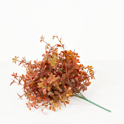 Sweetgum Bush | Burgundy | 16"