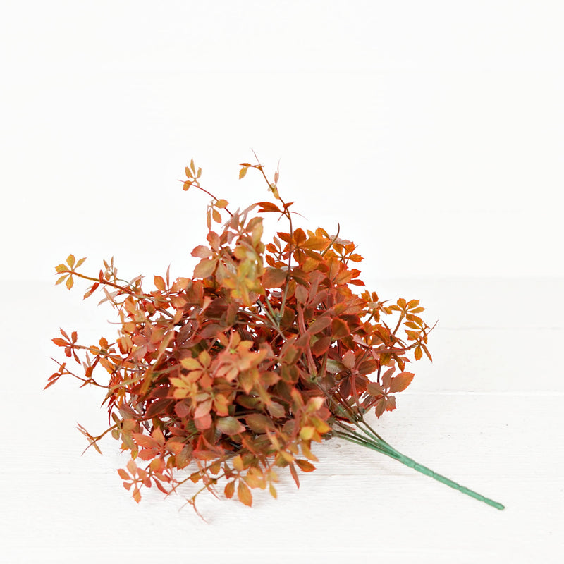 Sweetgum Bush | Burgundy | 16"