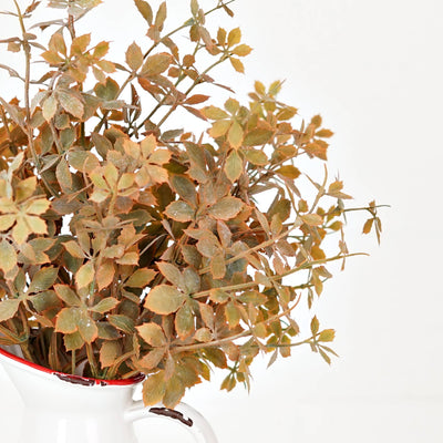 Sweetgum Bush | Fall Mix