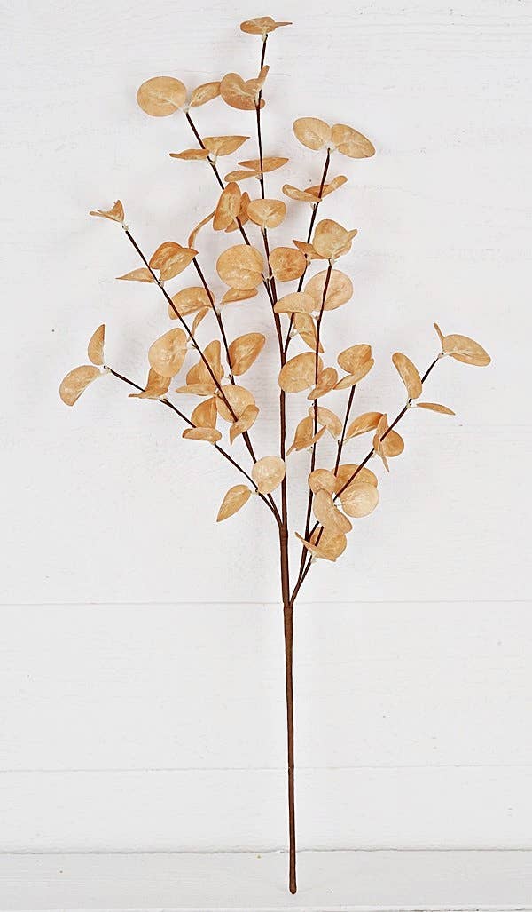 Silver Dollar Leaves | 23"