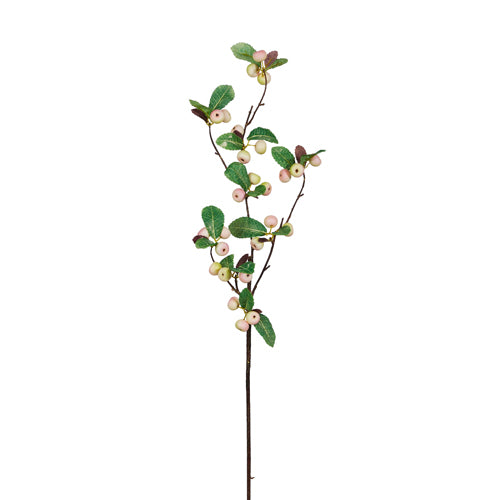 BERRY BRANCH