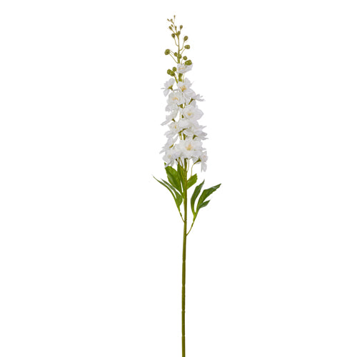 WHITE DELPHINIUM STEM - F4502254