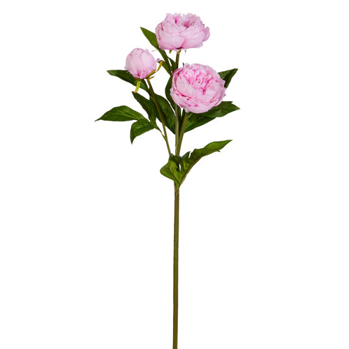 PINK PEONY SPRAY