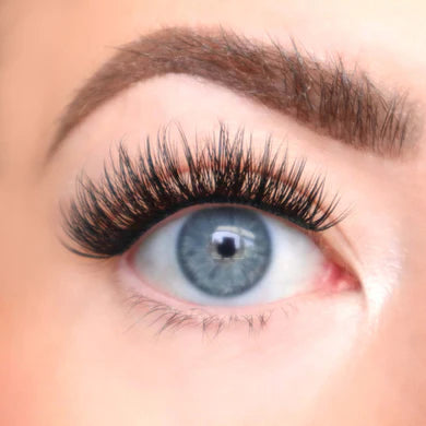 Aster - FLUTTER HABIT EYELASH