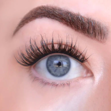 Willow - FLUTTER HABIT EYELASH