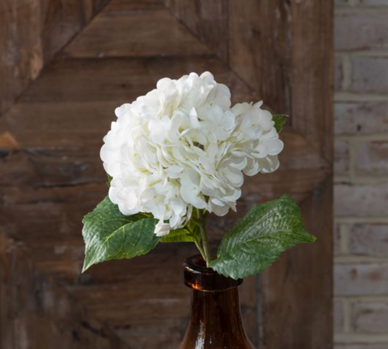 white hydrangea flower seeds The Classic White Hydrangea Stem – Hollowood at Home