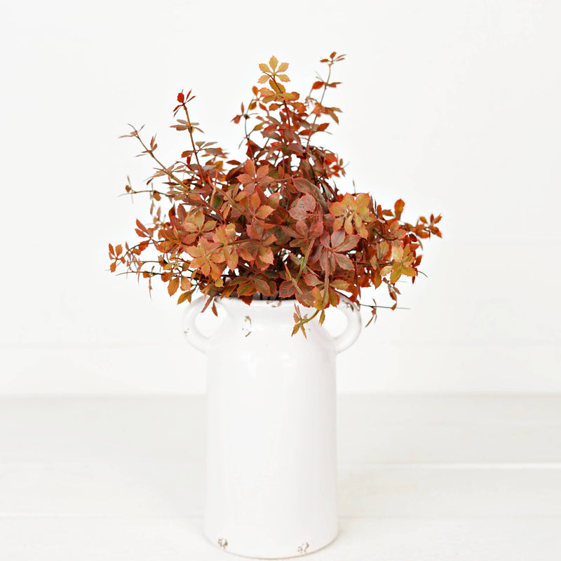 Sweetgum Bush | Burgundy | 16"
