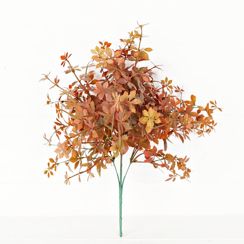 Sweetgum Bush | Burgundy | 16"