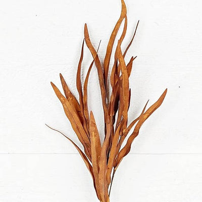 Willow Leaves | Brown | 18"