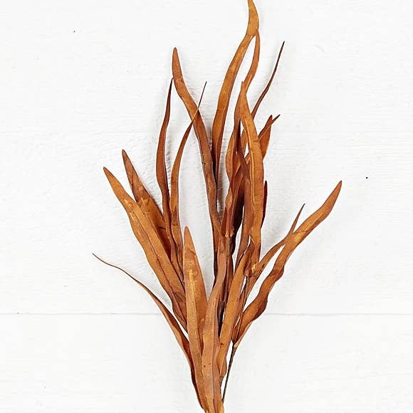 Willow Leaves | Brown | 18"