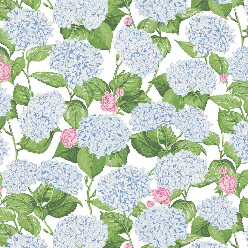 Classic Hydrangea - Prosecco