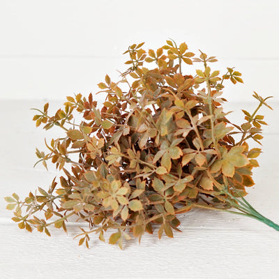 Sweetgum Bush | Fall Mix