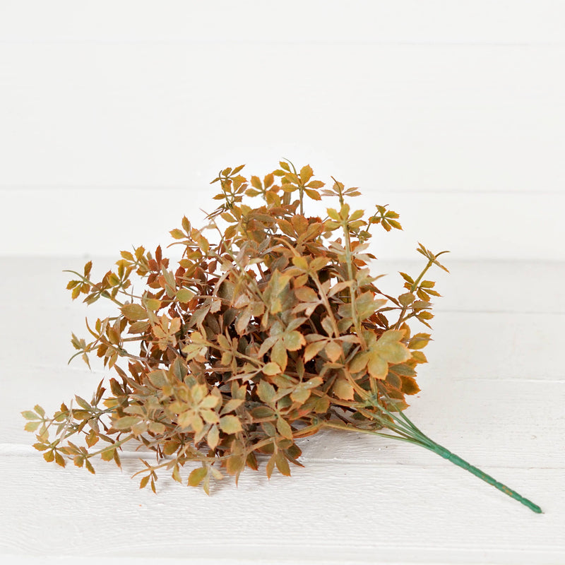Sweetgum Bush | Fall Mix