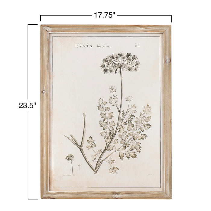 Botanical Print Wall Art (Pick-up Only)