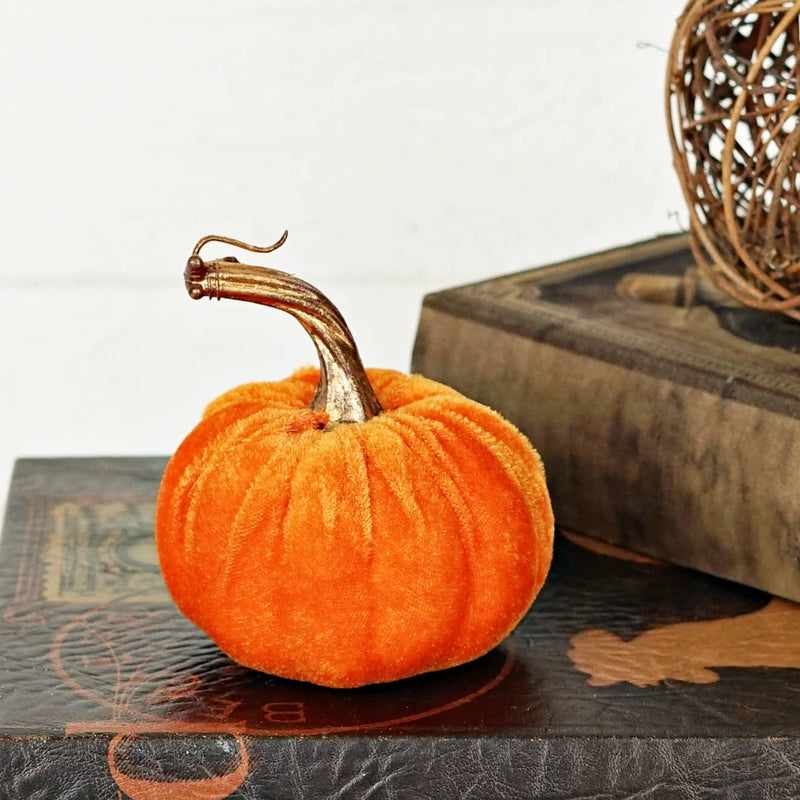 Orange Velvet Pumpkin