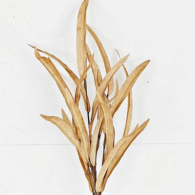 Willow Leaves Pick | Beige | 18"