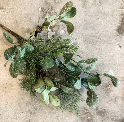 ICED EUCALYPTUS AND CEDAR SPRAY